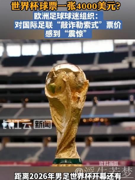 高昂票价引发球迷对世界杯不满 高昂票价引发球迷对世界杯不满